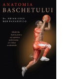 Anatomia baschetului