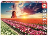 Puzzle 1500 piese Tulips Landscape