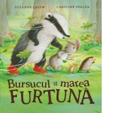 Bursucul si marea furtuna