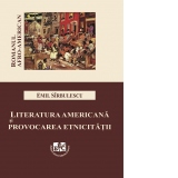 Literatura americana si provocarea etnicitatii: romanul afro-american