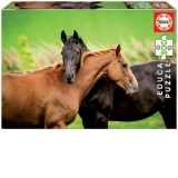 Puzzle 200 piese Horses