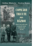 Copilarii trecute prin razboi. Povesti de viata, politici sociale si reprezentari culturale in Romania anilor 1913-1923