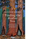 Finding the Mother Tree