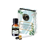 Eucalipt Ulei Esential 100% Natural, 10 ml