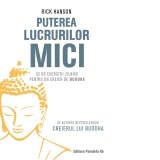 Puterea lucrurilor mici. 52 de exercitii zilnice pentru un creier de Buddha