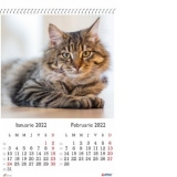 Calendar A3 policromie Pisici 2022