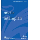 micile intamplari