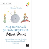 Actioneaza si gandeste ca Micul Print. Liber, visator, curios, altruist, fermecator, onest, bland, ingenuu