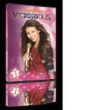 DVD Victorious, volumul 1