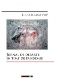 Jurnal de departe in timp de pandemie