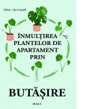 Inmultirea plantelor de apartament prin butasire