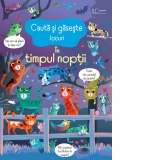 Cauta si gaseste. In timpul noptii (Usborne)