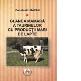 Glanda mamara a taurinelor cu productii mari de lapte