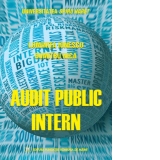 Audit public intern