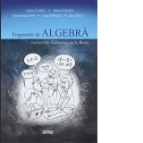 Fragmente de algebra. Curiozitati complexe. Grile reale