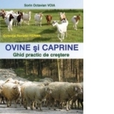 Ovine si caprine - ghid practic de crestere