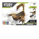 Construieste un scorpion - STEM