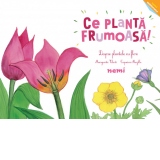 Ce planta frumoasa! - Despre plantele cu flori