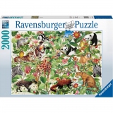 Puzzle Harta Lumii, 2000 Piese