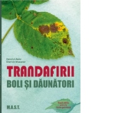 Trandafirii. Boli si daunatori