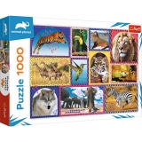 Puzzle Trefl 1000 Natura salbatica