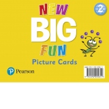 Big Fun Refresh Level 2 Picture Cards