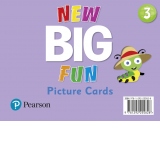 Big Fun Refresh Level 3 Picture Cards