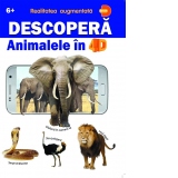 Descopera Animalele in 4D