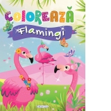 Coloreaza - Flamingi