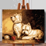 Set pictura pe numere (panza) Catei Westie 40x50 cm