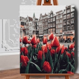 Set pictura pe numere (panza) Lalele in Amsterdam 50x40 cm