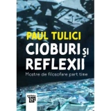 Cioburi si reflexii. Mostre de filosofare part time