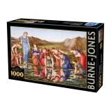 Puzzle 1000 Edward Burne: The Mirror of Venus