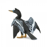 Anhinga (Pasarea cu gat de sarpe)