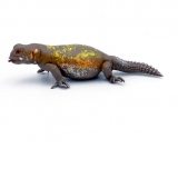 Iguana figurina 15 cm