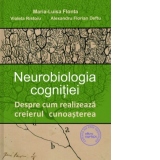 Neurobiologia cognitiei. Despre cum realizeaza creierul cunoasterea