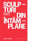 Sculpturi din intamplare. Sculpture Happens