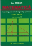 Matematica. Clasa a VII-a. Exercitii si probleme de algebra si geometrie (semestrul I)