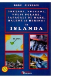 Ghetari, vulcani, vulpi polare, papagali de mare, balene si heringi in Islanda