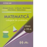 Matematica. Culegere de probleme pentru clasa a XII-a