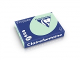 Hartie color Clairefontaine Pastel, Vernil