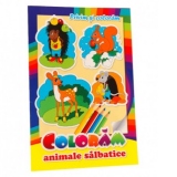 Privim si coloram. Coloram animale salbatice