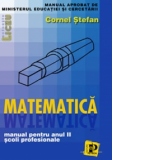 Matematica - manual pentru anul II, scoli profesionale