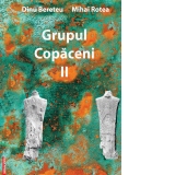 Grupul Copaceni II