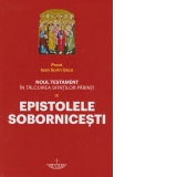 Noul testament in talcuirea sfintilor parinti. Volumul IX: Epistolele sobornicesti