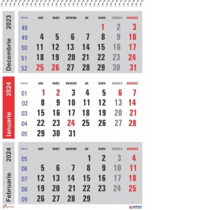 Calendar 2024 de perete, A3 lucios modern