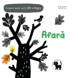 Primele mele carti Alb&Negru. Afara (Usborne)