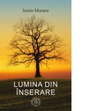 Lumina din inserare