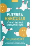 Puterea esecului. Cum sa faci fata unei lumi nebune