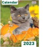 Calendar de perete 2023 Pisici A4